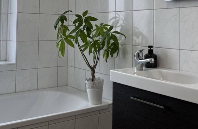 Central apartment in Magdeburg with Netflix and kitchen WE18