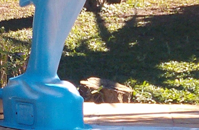 CHACARA 63 KM WHITE CASTLE -ITU-SP