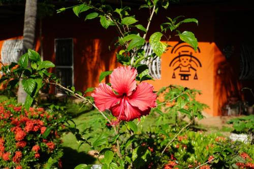 Chakana Yoga Homestay