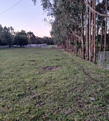 Chalé copo de leite