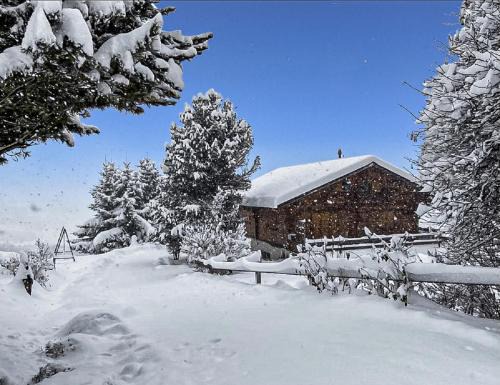 Chalet Albarose - Vercorin