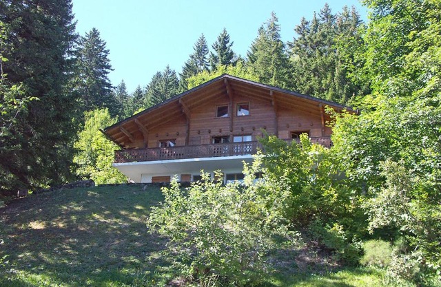 Chalet Arpille by Interhome