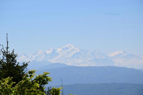 Chalet Calin - Business & Familles