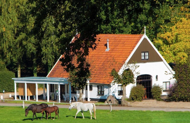 Chalet in Overijssel with Spacious Terrace