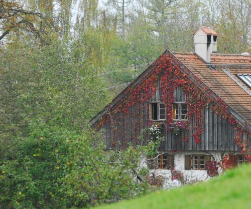 Chalet Landsberg