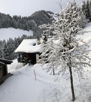 Chalet LYS Apartment 14 Rue Sigma