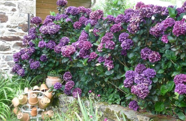 Chambres D'Hotes Ti Ar Yer