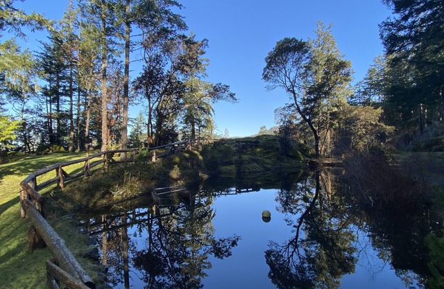 Charlies Cabin near the sea, located on 10 acres of forested land.