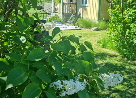 Charmigt hus på landet nära till bad