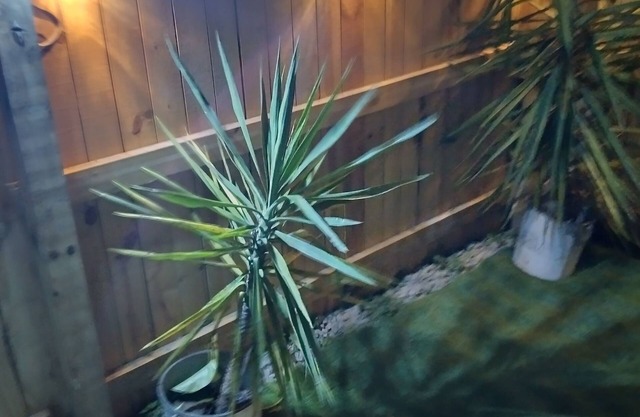 Charming 1-bedroom studio in enjoyable North Lauderdale with WiFi, AC