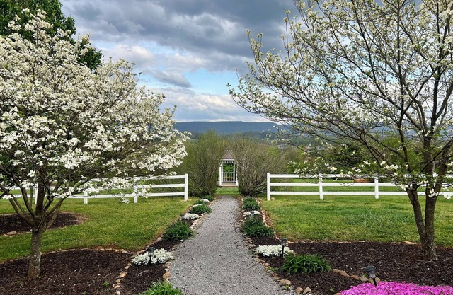 Charming 1-bedroom house with Smoky Mountains view, WiFi and AC in Maryville