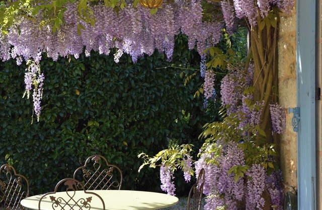 Charming 18th-century residence in the heart of Périgord Noir. Ideal for families.