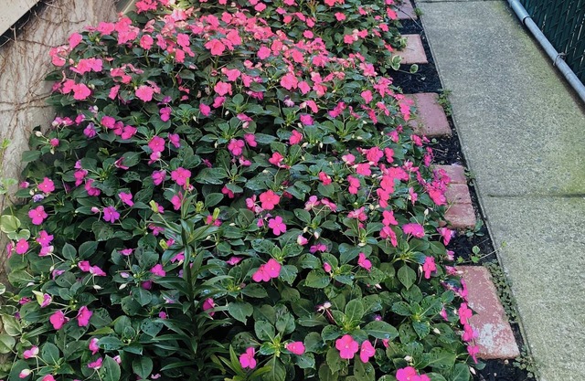 Charming 2-bedroom apartment with AC, WiFi in delightful Queens