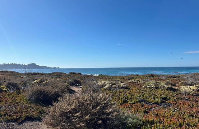 Charming 3-bedroom house in wonderful Carmel-by-the-Sea with WiFi