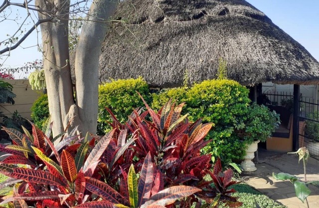Charming 6-bed House With Swimming Pool in Harare