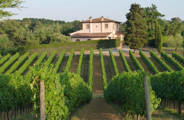 Charming and comfortable apartment in organic winery