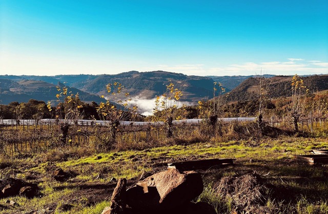 Charming and sustainable cottage in fabulous Monte Belo do Sul, RS.