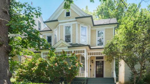 Charming Apartment in bustling Clifton & Crescent Hill