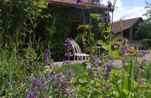 Charming bed and breakfast with lovely facilities, breakfast on offer.