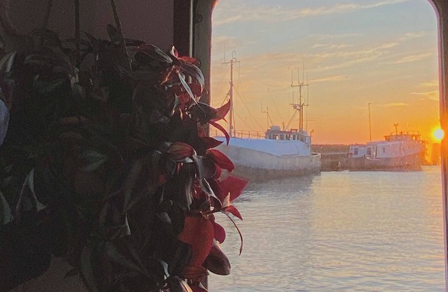 Charming Boat Experience Bornholm