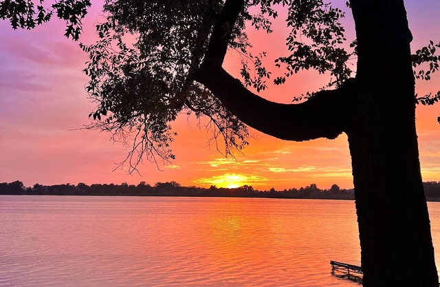 Charming cabin on Shipshewana Lake; 5 minute drive from downtown Shipshewana