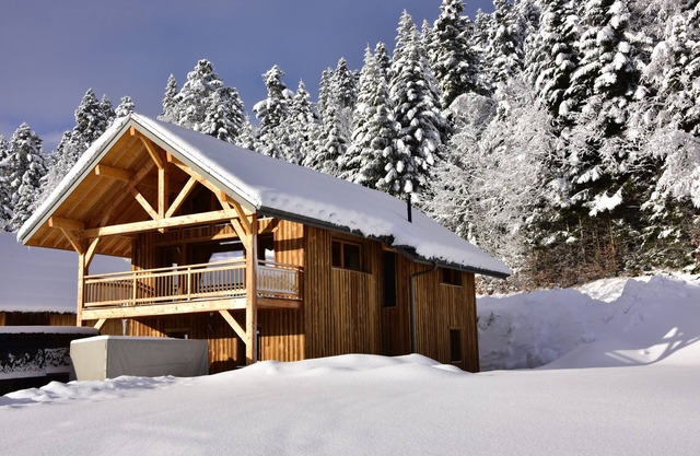 Charming chalet in a family resort - La Féclaz