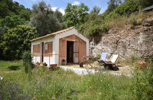 Charming Cottage with Garden