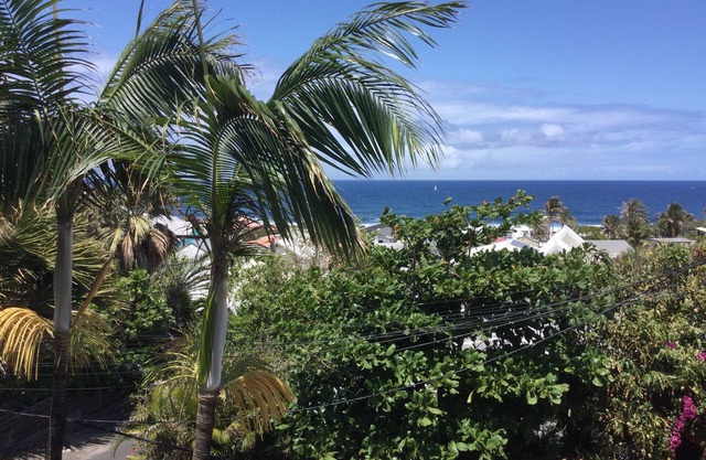 Charming duplex with sea view