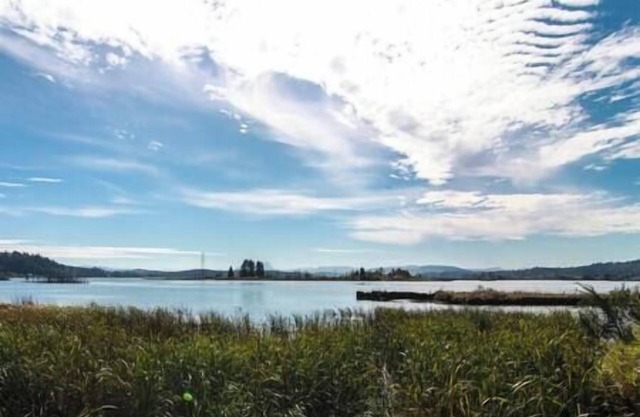 Charming Hideaway Overlooking The Astoria Waters