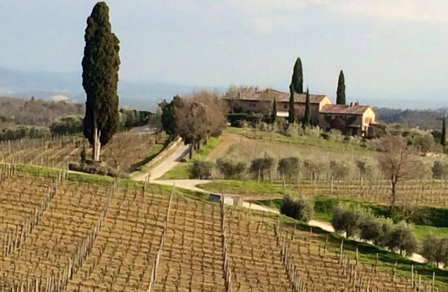 Charming house in historical Chianti Estate