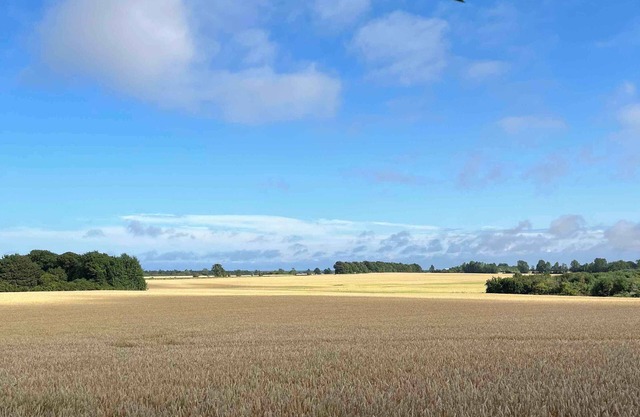 Charming house with beautiful views