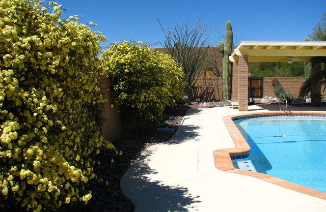 Charming Large Guest Suite in Tanque Verde Valley