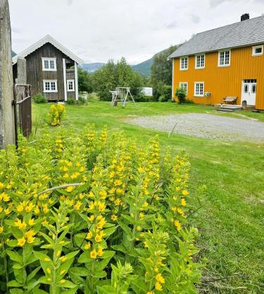 Charming Log House Near Oppdal