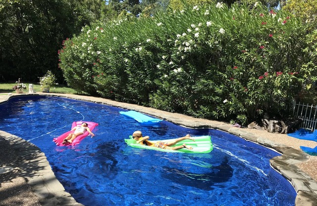 Charming Marin County Getaway w/Pool in Ross-Walk to Trails/Downtown San Anselmo
