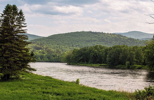 Charming Mountain Cottage, 5-bedroom cottage in The White Mountains