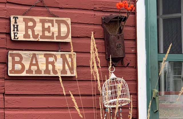 Charming pet friendly renovated barn with backyard, in Stevensville
