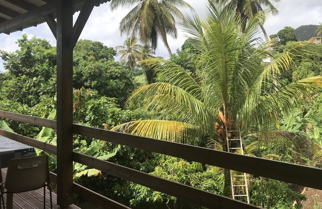 Charming studio under the coconut trees