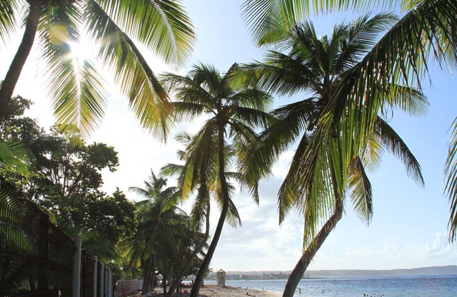 CHARMING STUDIO THE ALIZES THE MOLD