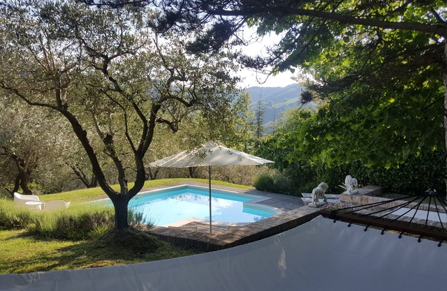 Charming vacation home with pool, sun deck and olive grove