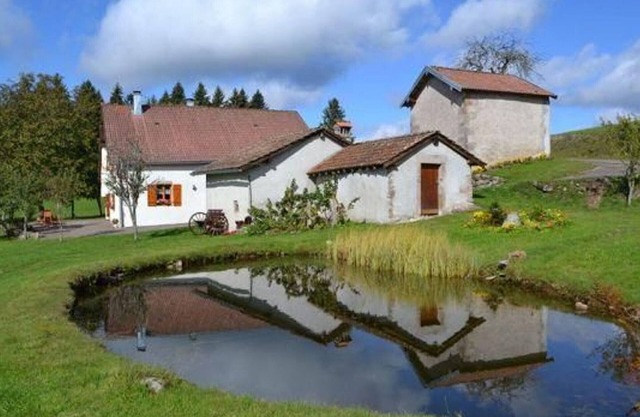Charming Vosges cottage with fireplace and garden