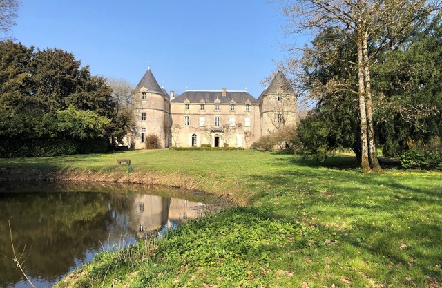 Chateau de la Mothe