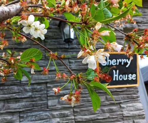 Cherry House