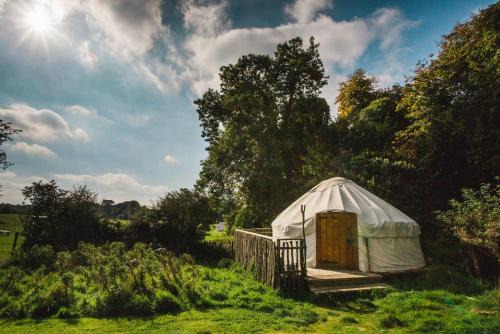 Chestnut - Yurt