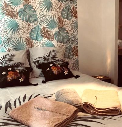 chez LULU appartement neuf au coeur de cozzano