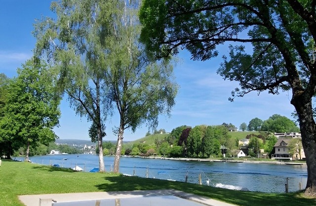 Chic 3 room apartment near the Rhine, S-Bahn and much more