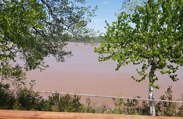 Chocolate River Cottages - Chocolate River 1 Bedroom Cottage No. 2