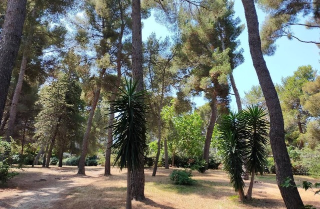 Cigalou at the gateway to the calanques, 2 km from the beach, 8 km from the Luminy university campus