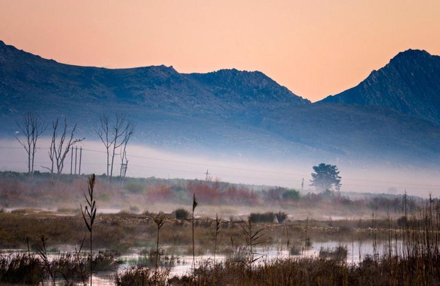 Citrus Creek Chalets