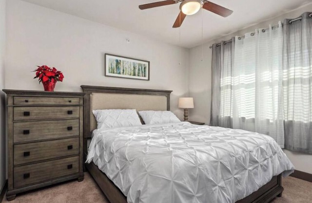City view luxury apartment