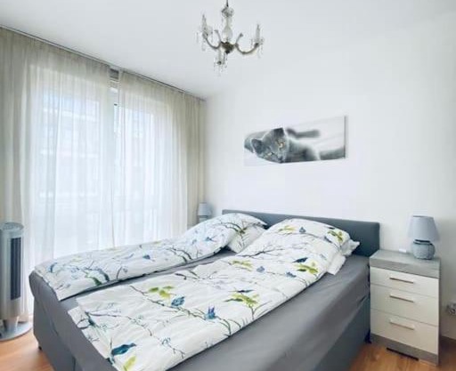 CityCosy ORANGERIE Strasbourg Appartement 2 pièces en face de parc de L'Orangerie avec un parking souterrain, Netflix compris